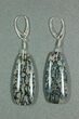 Grey-Blue Agatized Dinosaur Bone (Gembone) Earrings #54074-2